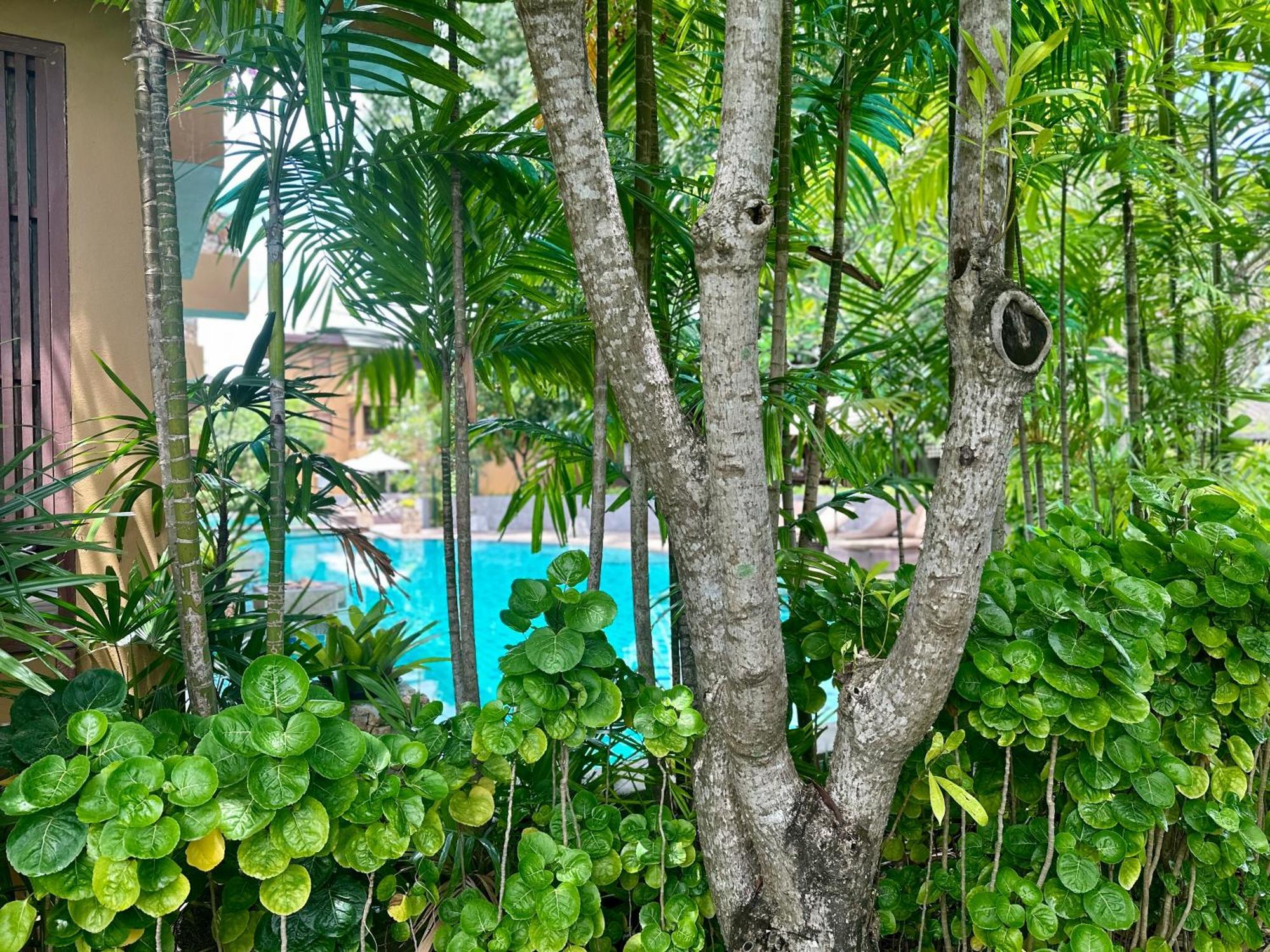 Deva Samui Resort 4*